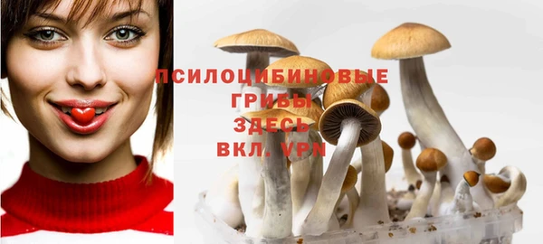 спиды Горнозаводск