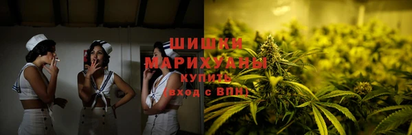 прущие грибы Аша